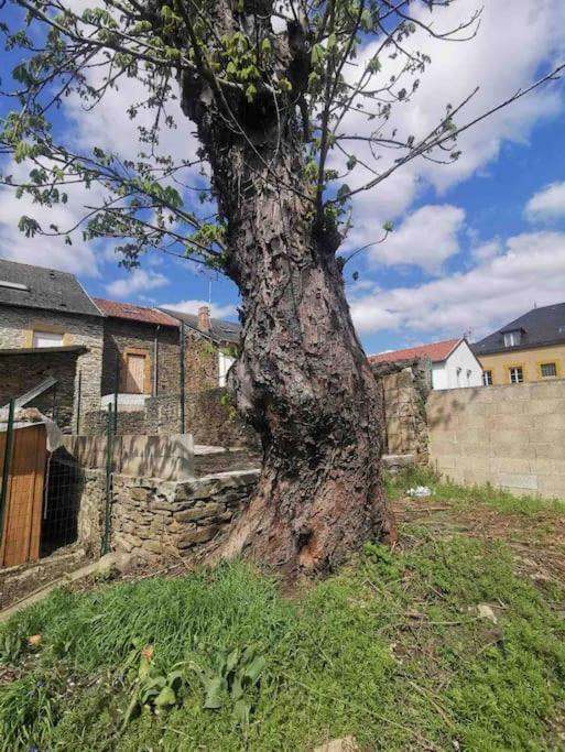 La Cascade Verte /Appartement /Jardin /Parking Braux  Esterno foto